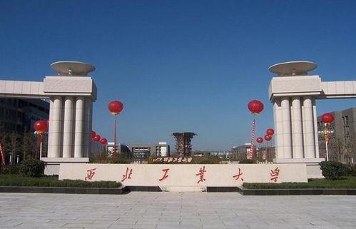 上海最坑的三所大学(上海最坑的三所大学排名) 上海最坑的三所大学(上海最坑的三所大学排名)