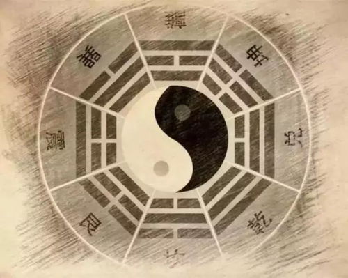 怎么样知道自己是什么星座：三步确定你的星座，从出生日期到星象解读的科学指南