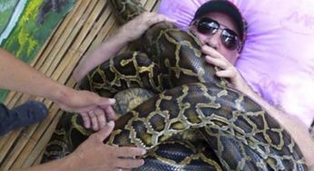 孕妇梦见蟒蛇缠身:缠绕的梦境,孕妇梦见蟒蛇缠身的象征与启示 孕妇梦见蟒蛇缠身:缠绕的梦境,孕妇梦见蟒蛇缠身的象征与启示