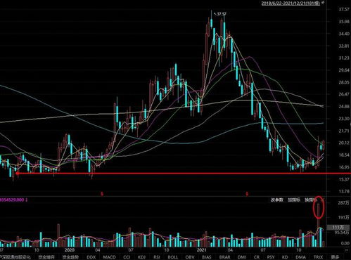 最高3211%!翻倍牛股,大幅预增 最高3211%!翻倍牛股,大幅预增