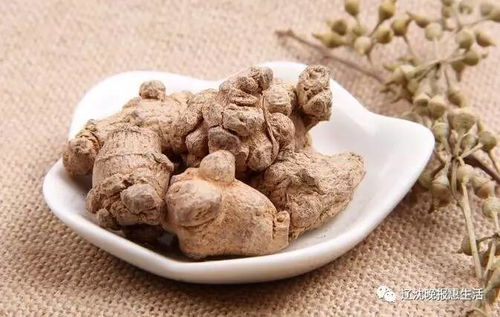 三七有什么作用:三七,传统中药的现代健康守护者 三七有什么作用:三七,传统中药的现代健康守护者