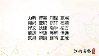 孩子起名字男孩:男孩起名指南,融合传统智慧与现代审美的黄金法则 孩子起名字男孩:男孩起名指南,融合传统智慧与现代审美的黄金法则