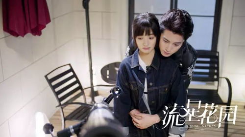 流星花园（流星花园大s）