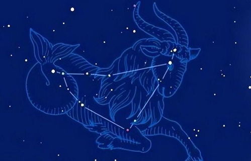 2025年狮子座有牢狱之灾吗:2025年狮子座运势解析,关于牢狱之灾的科学占星解读与生活建议 2025年狮子座有牢狱之灾吗:2025年狮子座运势解析,关于牢狱之灾的科学占星解读与生活建议