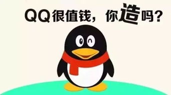 出售qq账号的交易平台:揭秘QQ账号交易平台,安全交易指南与风险防范全解析 出售qq账号的交易平台:揭秘QQ账号交易平台,安全交易指南与风险防范全解析
