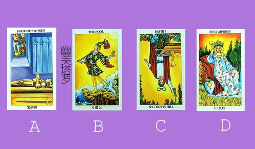 爱在塔罗牌:爱在塔罗牌,神秘预言,情感导航 爱在塔罗牌:爱在塔罗牌,神秘预言,情感导航