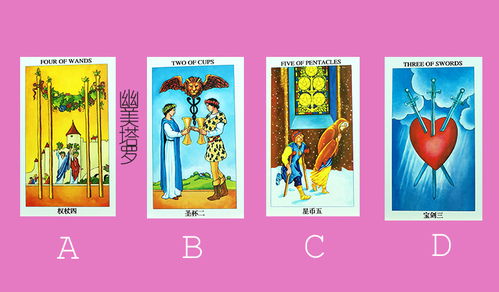 爱在塔罗牌:爱在塔罗牌,神秘预言,情感导航 爱在塔罗牌:爱在塔罗牌,神秘预言,情感导航