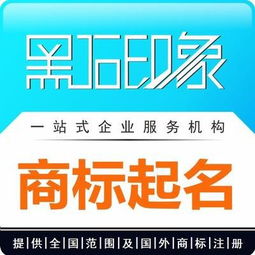 商标起名网免费取名:商标起名网免费取名指南,高效便捷的商标命名全攻略 商标起名网免费取名:商标起名网免费取名指南,高效便捷的商标命名全攻略