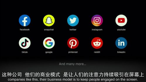 手机号八卦算法:手机号中的八卦玄机,数字磁场如何影响你的运势与性格? 手机号八卦算法:手机号中的八卦玄机,数字磁场如何影响你的运势与性格?