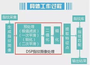 手机号八卦算法:手机号中的八卦玄机,数字磁场如何影响你的运势与性格? 手机号八卦算法:手机号中的八卦玄机,数字磁场如何影响你的运势与性格?