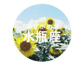 水瓶女今天的星座运势:水瓶女今日运势飙升!事业爱情双丰收,幸运指数翻倍! 水瓶女今天的星座运势:水瓶女今日运势飙升!事业爱情双丰收,幸运指数翻倍!