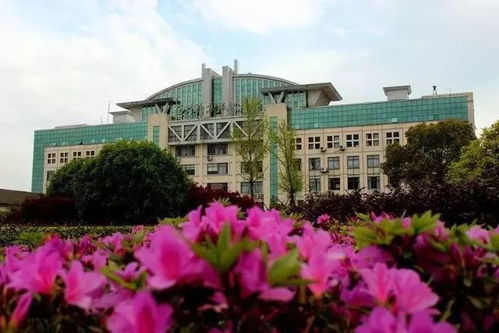 台州职院最厉害三个专业(台州职业学院好不好) 台州职院最厉害三个专业(台州职业学院好不好)