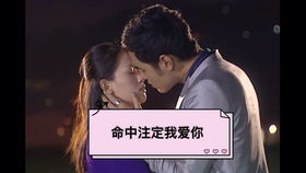 命中注定我爱你日剧2020在线观看(命中注定我爱你日版在线观看西瓜) 命中注定我爱你日剧2020在线观看(命中注定我爱你日版在线观看西瓜)