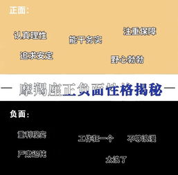 十二星座大全日期：十二星座大全日期，从出生日期到性格密码的权威解析