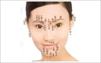 女人看面相大全图解法:女人面相大全图解法,从五官到骨骼的精准判断指南(附28个特征解析) 女人看面相大全图解法:女人面相大全图解法,从五官到骨骼的精准判断指南(附28个特征解析)