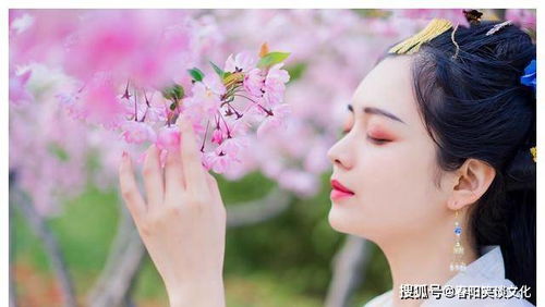 生肖的姻缘运势怎么样:2024年生肖姻缘运势全解析,桃花运旺的生肖,你上榜了吗? 生肖的姻缘运势怎么样:2024年生肖姻缘运势全解析,桃花运旺的生肖,你上榜了吗?