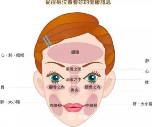 如何判断爆痘还是排毒:痘痘是爆痘还是排毒?教你几个判断小技巧! 如何判断爆痘还是排毒:痘痘是爆痘还是排毒?教你几个判断小技巧!