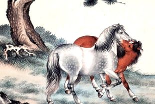 属马的多大年龄:属马人的年龄对照表,2023年各年龄段解析(1939-2011年出生) 属马的多大年龄:属马人的年龄对照表,2023年各年龄段解析(1939-2011年出生)