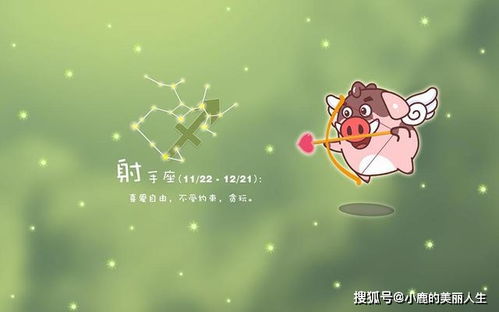 射手座情商可怕：射手座，用幽默面具包裹的高情商伪装者