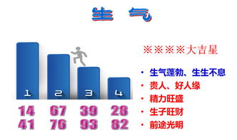 吉号测吉凶免费：吉号测吉凶免费，科学测算传统文化智慧，助您把握人生机遇