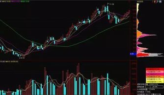 上升星座查询表时间怎么看：精准定位上升星座，手把手教你正确解读查询表时间规则