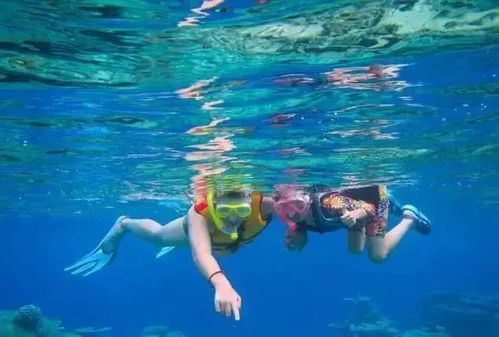 梦见大海游泳:梦里那片无垠的海 梦见大海游泳:梦里那片无垠的海