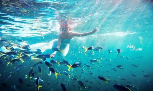 梦见大海游泳:梦里那片无垠的海 梦见大海游泳:梦里那片无垠的海