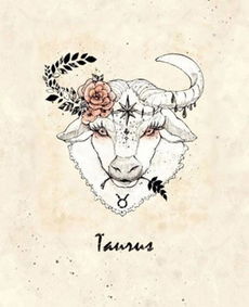 金牛男睡过后占有欲强吗:金牛男睡过后占有欲强吗?揭秘土象星座的情感逻辑 金牛男睡过后占有欲强吗:金牛男睡过后占有欲强吗?揭秘土象星座的情感逻辑