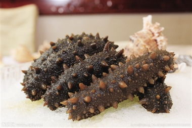 海参功效与作用:海参,滋补圣品,健康加分 海参功效与作用:海参,滋补圣品,健康加分