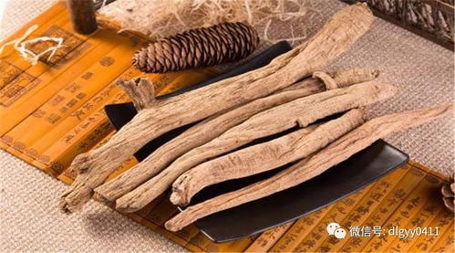 赤芍对男性功能的作用:赤芍对男性功能的潜在益处与科学解读 赤芍对男性功能的作用:赤芍对男性功能的潜在益处与科学解读