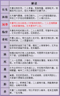 八字姻缘排盘免费：八字姻缘排盘免费，揭秘你的感情运势，解读命中良缘！
