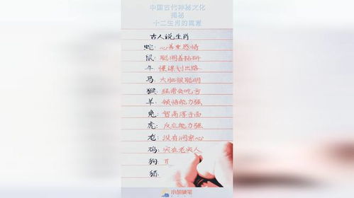 12生肖年龄表:趣味解读,12生肖年龄表背后的传统文化与寓意 12生肖年龄表:趣味解读,12生肖年龄表背后的传统文化与寓意