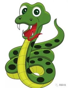 66年属什么生肖:66年出生属什么生肖?蛇年特质与运势全解析 66年属什么生肖:66年出生属什么生肖?蛇年特质与运势全解析