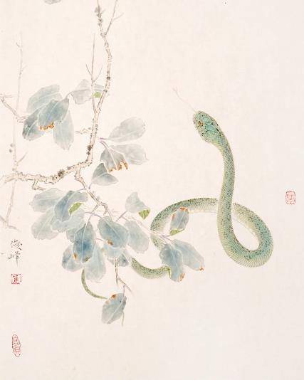 66年属什么生肖:66年出生属什么生肖?蛇年特质与运势全解析 66年属什么生肖:66年出生属什么生肖?蛇年特质与运势全解析