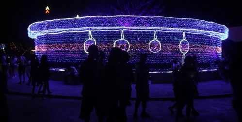 全球最火十大电音(全球最火十大电音星空) 全球最火十大电音(全球最火十大电音星空)