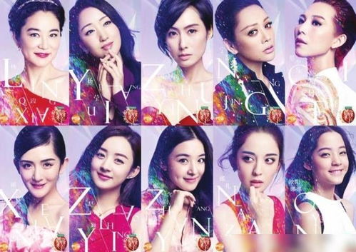 偶像来了(偶像来了2) 偶像来了(偶像来了2)