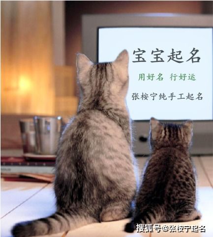 2021年出生的牛宝宝取名:2021辛丑年牛宝宝取名指南,吉祥寓意与五行平衡双重考量 2021年出生的牛宝宝取名:2021辛丑年牛宝宝取名指南,吉祥寓意与五行平衡双重考量