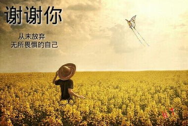 中国轻音乐（我爱你中国轻音乐）