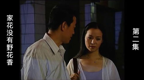 野花香电视剧全集免费观看（野花香电视剧全集免费观看完整版）