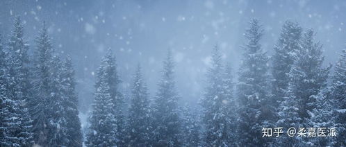 梦见下了厚厚的雪是什么征兆:梦里下大雪,现实中会怎样?解密梦见下了厚厚的雪的征兆 梦见下了厚厚的雪是什么征兆:梦里下大雪,现实中会怎样?解密梦见下了厚厚的雪的征兆