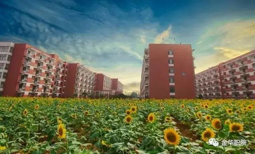 金华职业技术学院招生网(金华职业技术学院2021年招生简章) 金华职业技术学院招生网(金华职业技术学院2021年招生简章)