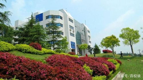 合肥学院是一本还是二本(合肥大专学校有哪些学校) 合肥学院是一本还是二本(合肥大专学校有哪些学校)