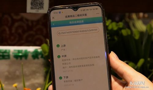 电子监管码手机扫一扫：电子监管码手机扫一扫，轻松实现商品追溯与防伪查询