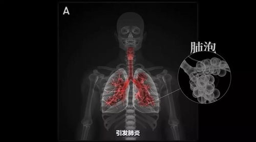 过度呼吸第二季在线观看(过度呼吸第二集完整版视频) 过度呼吸第二季在线观看(过度呼吸第二集完整版视频)