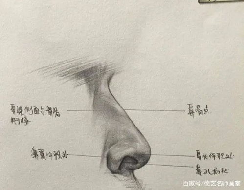 面相算命图解免费测试:免费面相算命图解,手把手教你通过五官格局解析人生运势 面相算命图解免费测试:免费面相算命图解,手把手教你通过五官格局解析人生运势