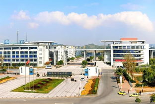 荆职院最好的三个专业（荆职大专）