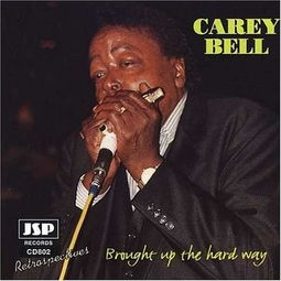 brought(brought up) brought(brought up)