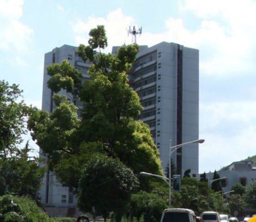 贵州理工学院专升本(贵州理工学院专升本官网) 贵州理工学院专升本(贵州理工学院专升本官网)
