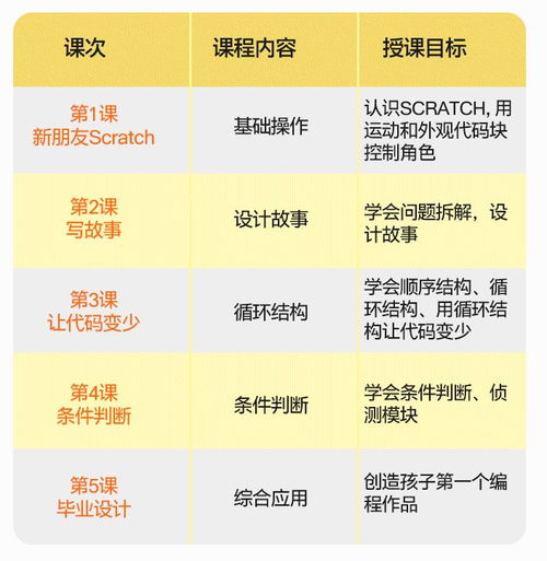 编程网课价格：编程网课价格大揭秘，从入门到精通的性价比指南