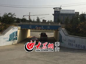 泰山护理职业学院（泰山护理职业学院新校区）